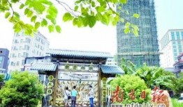 东莞新闻违建爆料,多起违建行为引发社会关注